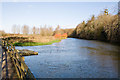 River Avon west of Trafalgar Park