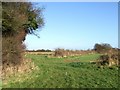 Footpath to Stewton