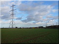 Pylons crossing Farmland