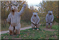 The Welcome Bears