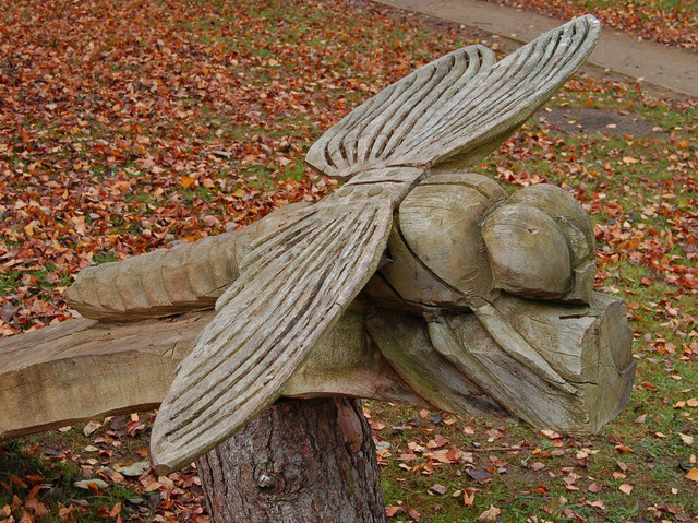 Dragonfly Sculpture © John Bennett Geograph Britain And Ireland