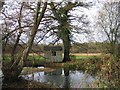 Corrugated iron hut by the River Test