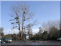 Empty Car Park, Romsey