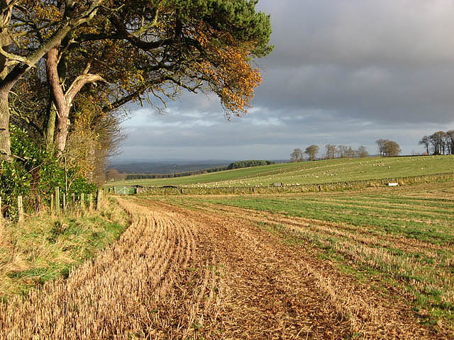 Farmland near Upper Nisbet © Walter Baxter cc-by-sa/2.0 :: Geograph ...