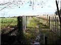SU5414 : Upper Curdridge: path between fields by Chris Downer