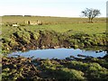 Ford on the track south of Merry Shiels