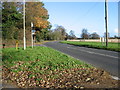 View along the Sandwich Road at Statenborough