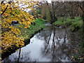 Roath Brook at Waterloo Road