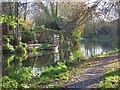 The River Kennet, Reading