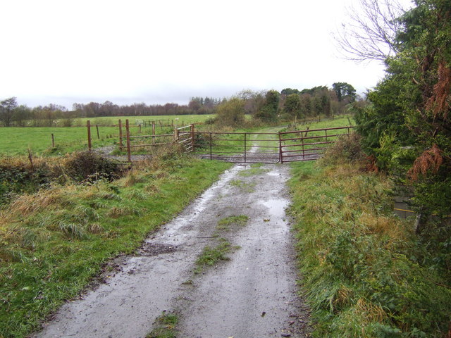 Betaghstown road ends