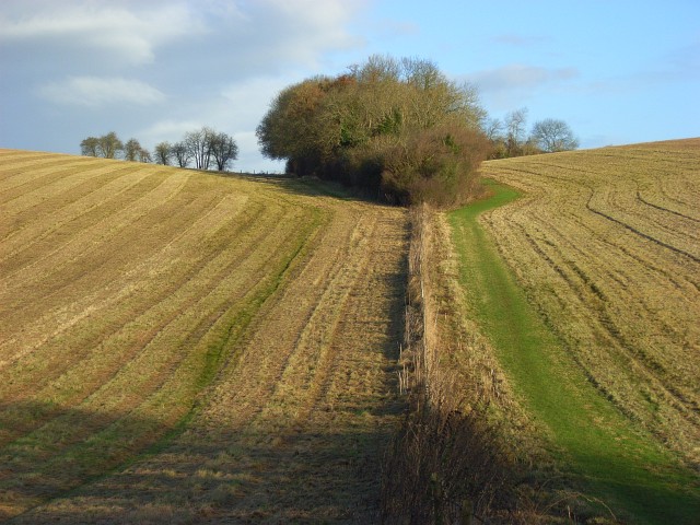 Farmland, Rotherfield Greys