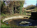 Circular Overflow, Staffordshire and Worcestershire Canal, Compton