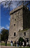 W6075 : Blarney Castle by Sandra White