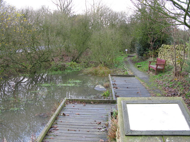 Archie's Pond, Longhorsley