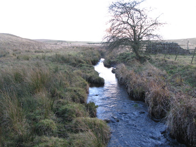 The infant River Wansbeck