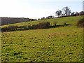 Pasture below Homer Farm