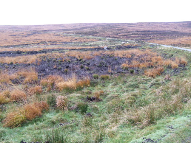 The peat bogs by the R115 military road