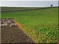 Farmland, Crowmarsh