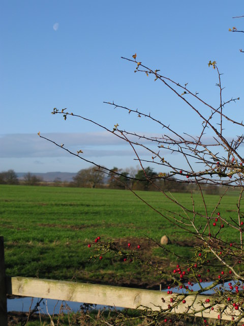 Farmland between Longhorsley and Paxton Dene