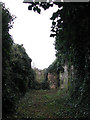 TG3905 : The ruin of St Edmund's Church - view east by Evelyn Simak