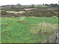 Common Land, Halkyn Mountain