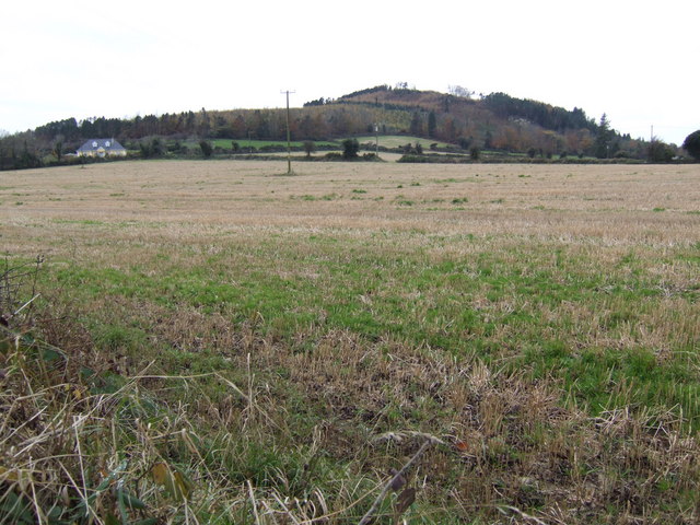 Carrigroe Hill