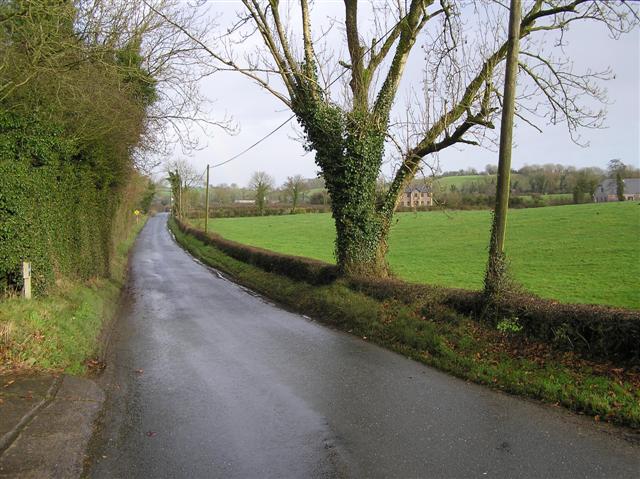 Road at Drumdart