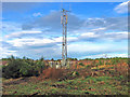 Communication mast on Ardbeck Hill Peterculter