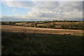 Farmland near Folkingham