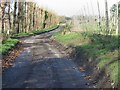 Looking N along Pedding Lane