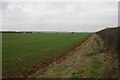 Farmland near Corby Glen