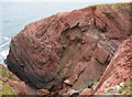 SM8002 : Folded Old Red Sandstone at St Annes Head by Rodney Harris