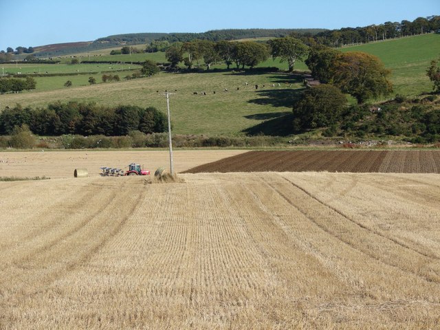 Ploughing near Covington