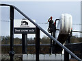 At Bratch Middle Lock, Staffordshire and Worcestershire Canal