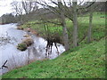 River Clyde towards Milton-Lockhart