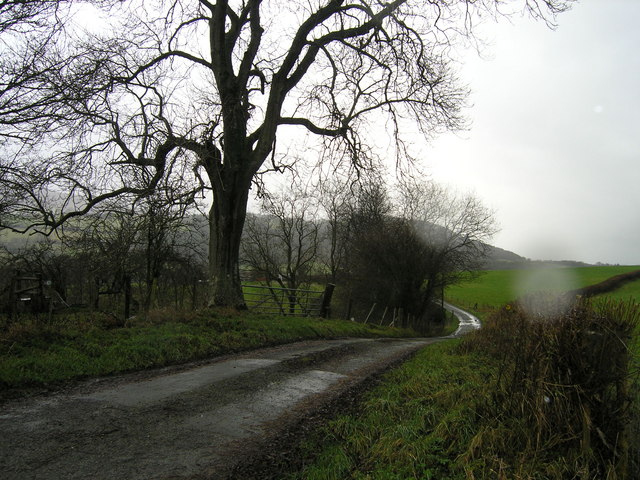 Lane to Wernfawr