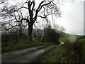 Lane to Wernfawr