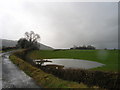 Pool in field beside lane to Wernfawr