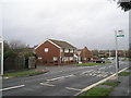 Bus stops by Hazelholt  Drive