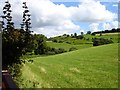 Pasture above Bryn-Elen-ganol