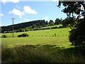 Pasture above Cyfronydd Station