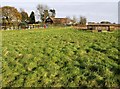 Smallholding near Mill Court