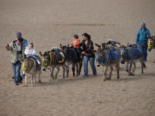 Donkey Ride at Skegness Beach