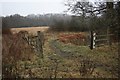 Disused Gate