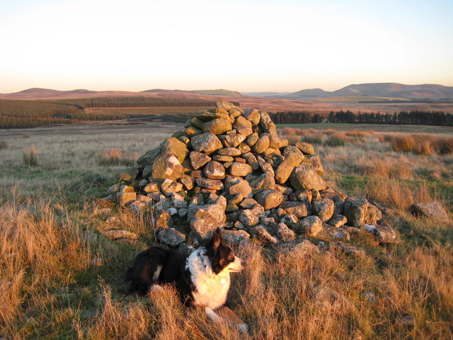Cairn on Hare Law
