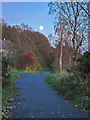 Moonrise on the Deeside Way, Milltimber