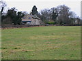 Pastures near Leazes Cottage East