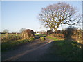 SD5316 : The road to Wood End Farm by Alexander P Kapp