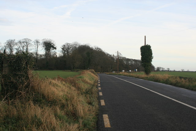 East towards Newbridge Demesne, Donabate, Co. Dublin.