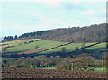 Farmland and Hillside, near Kenley, Shropshire